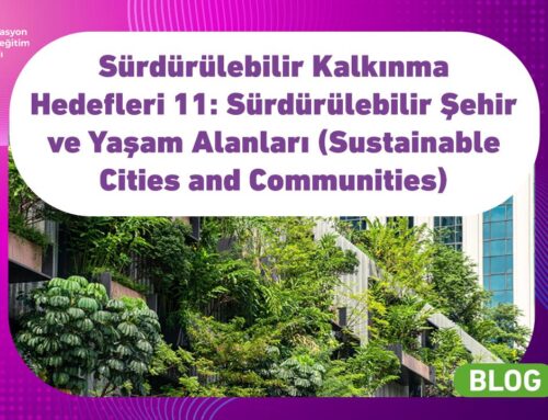 Sürdürülebilir Kalkınma Hedefleri: Sürdürülebilir Şehir ve Yaşam Alanları (Sustainable Cities and Communities)